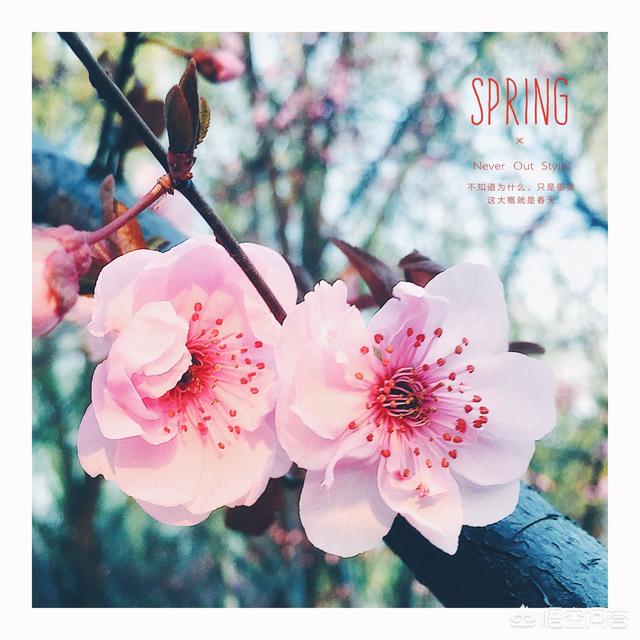 手机摄影教程:如何入门手机摄影及手机后期？  第2张