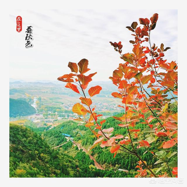 手机摄影教程:如何入门手机摄影及手机后期？  第6张