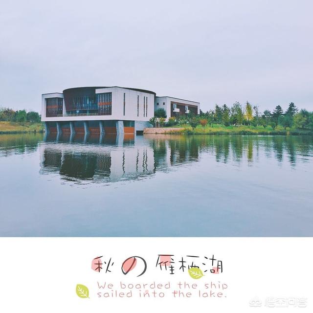 手机摄影教程:如何入门手机摄影及手机后期？  第12张