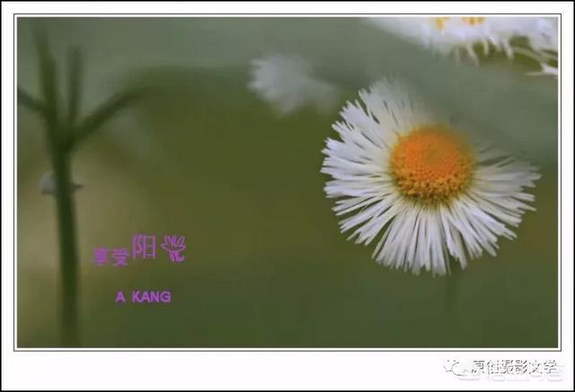 原创保护:如何保护自己付出辛勤的汗水写出来的原创文章？  第1张