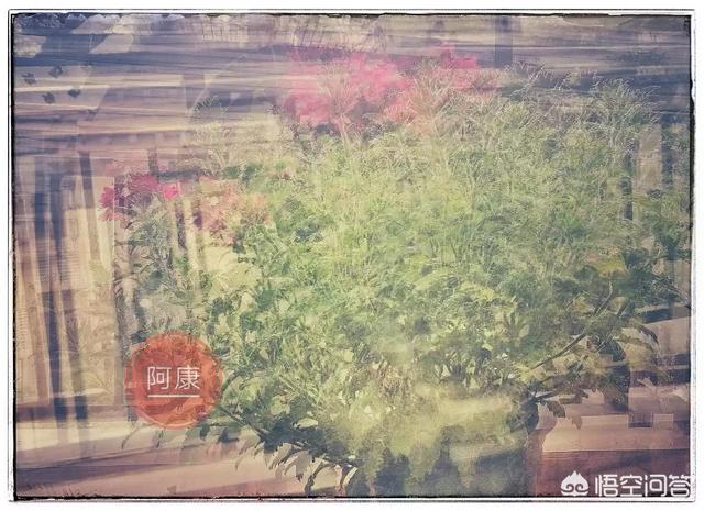 原创保护:如何保护自己付出辛勤的汗水写出来的原创文章？  第2张