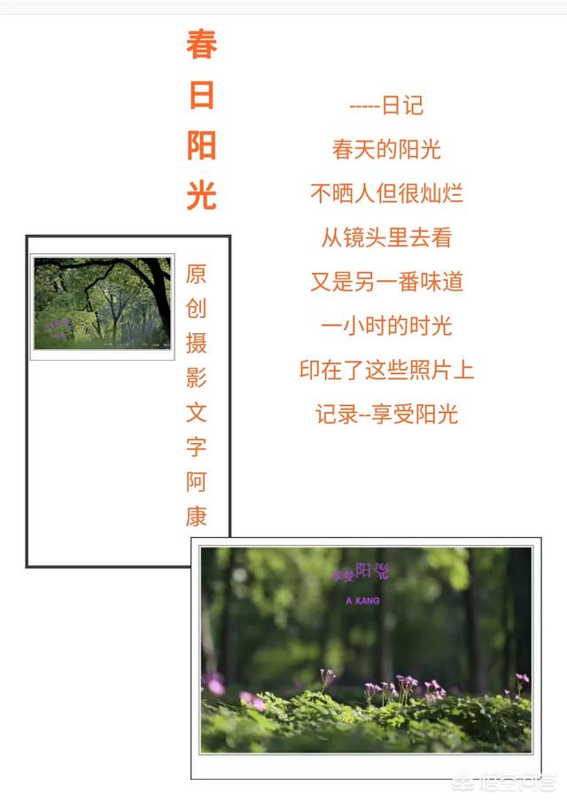 原创保护:如何保护自己付出辛勤的汗水写出来的原创文章？  第3张