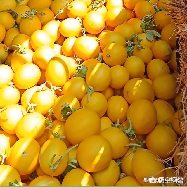 店铺优惠券:为什么很多人喜欢店铺优惠券？  第1张