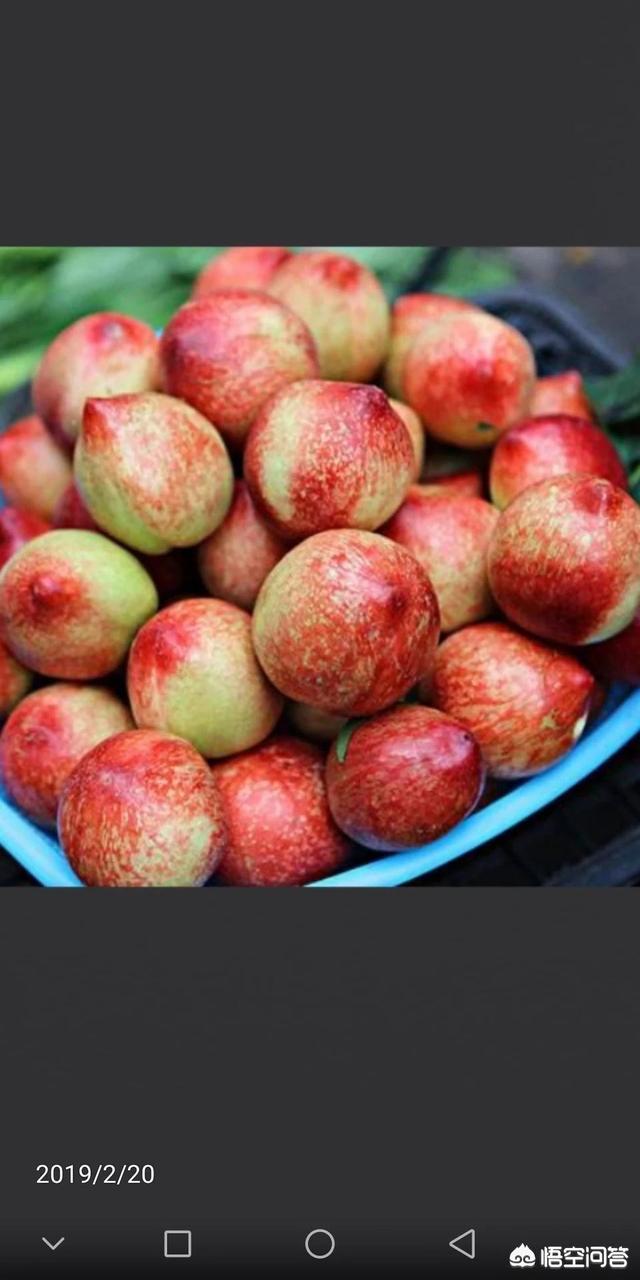 店铺优惠券:为什么很多人喜欢店铺优惠券？  第2张