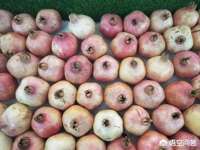 店铺优惠券:为什么很多人喜欢店铺优惠券？  第3张