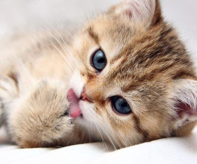 直播间英文
:网络直播都直播什么? 第6张 直播间英文
:网络直播都直播什么? 第6张