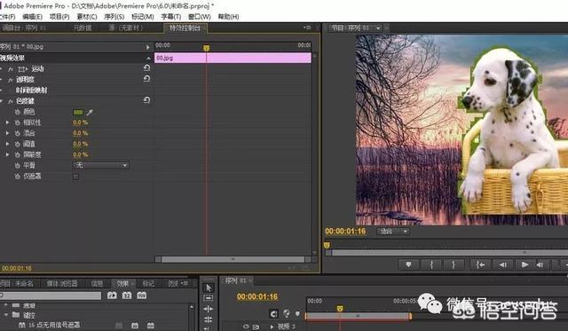 pr抠像:用pr cc 2017怎么抠像，需要注意些什么？  第4张