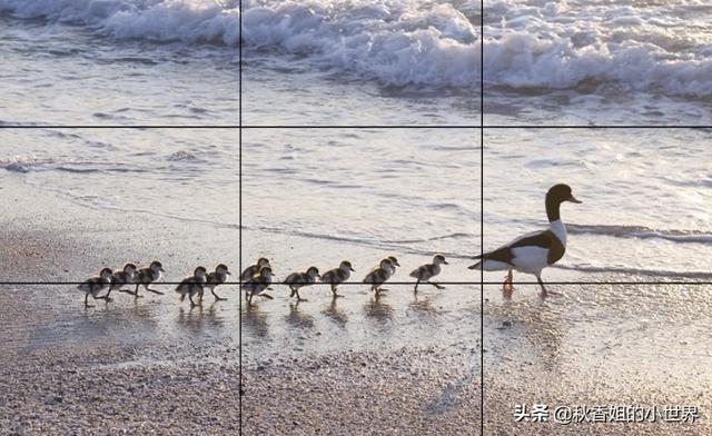 三分法构图
:三分法构图是什么。为什么说三分法构图是最重要的构图法? 第1张 三分法构图
:三分法构图是什么。为什么说三分法构图是最重要的构图法? 第1张