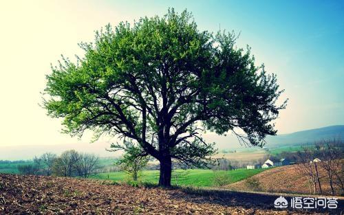 市场分析怎么做:如何做行业分析和市场调研？  第3张