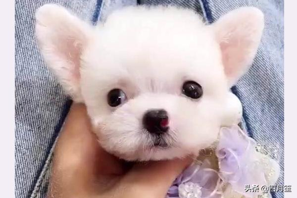 快手作品:快手上面作品有哪些分类/？  第6张