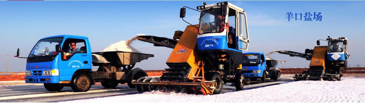 潍坊阿里巴巴:潍坊有哪些大企业？  第5张