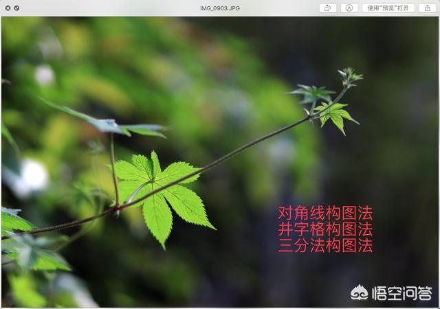 三分构图:小白与大师都在用的“三分法”构图，如何使用才是正确法则？  第2张