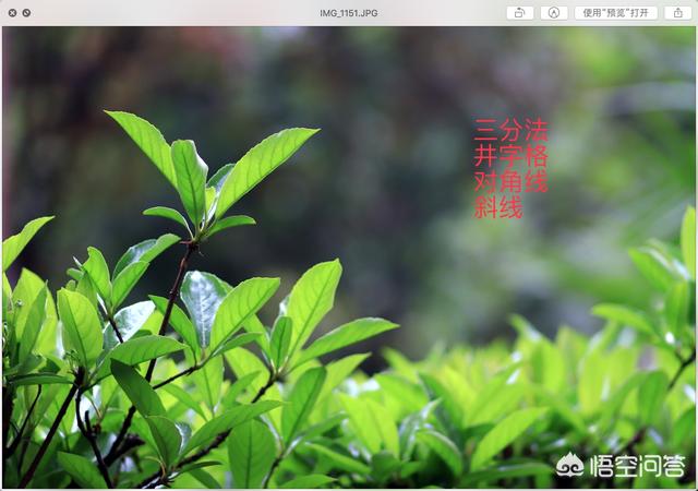 三分构图:小白与大师都在用的“三分法”构图，如何使用才是正确法则？  第3张