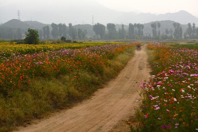 引导线构图:如何在摄影构图时使用引导线构图？  第4张