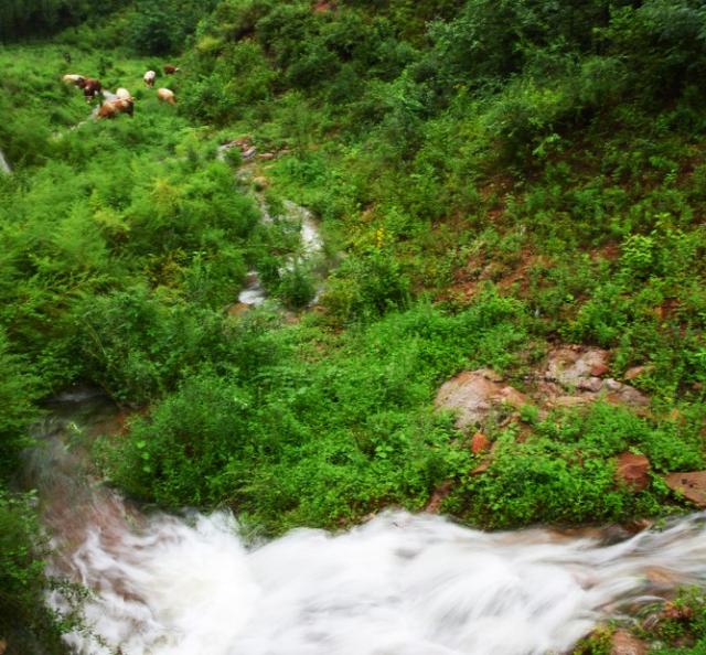 引导线构图:如何在摄影构图时使用引导线构图？  第6张
