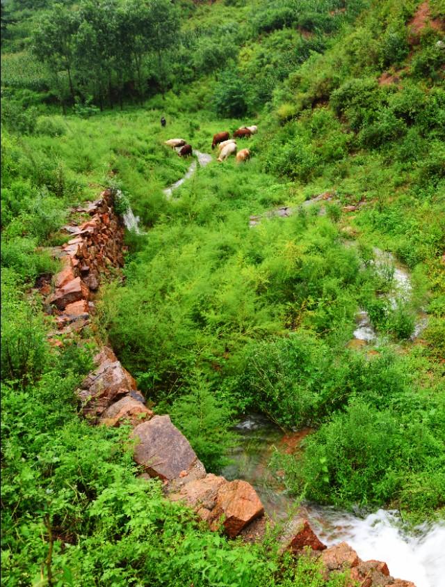 引导线构图:如何在摄影构图时使用引导线构图？  第7张