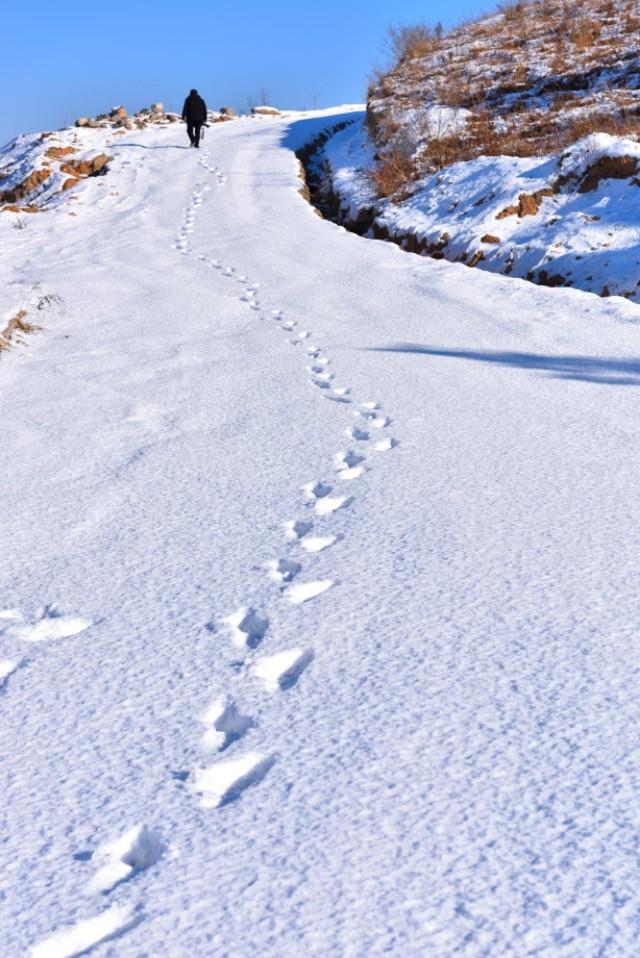 引导线构图:如何在摄影构图时使用引导线构图？  第8张