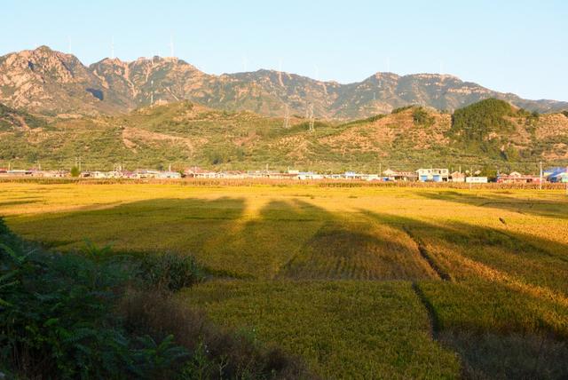 引导线构图:如何在摄影构图时使用引导线构图？  第9张