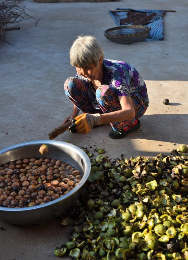 引导线构图:如何在摄影构图时使用引导线构图？  第12张
