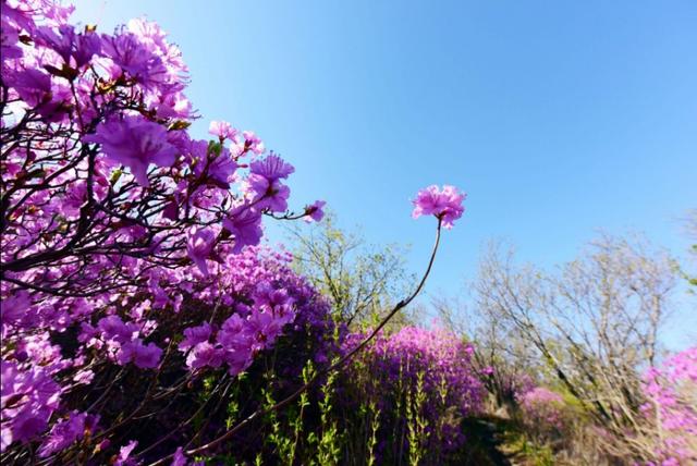 引导线构图:如何在摄影构图时使用引导线构图？  第13张