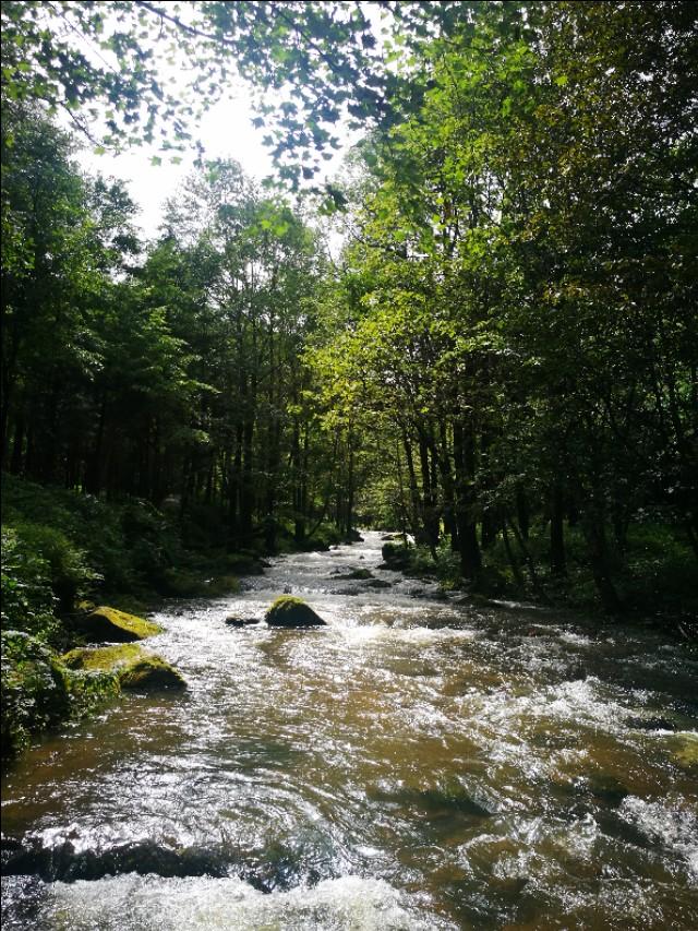 拍照技术:不会拍照应该怎么学习来提高技术？  第2张