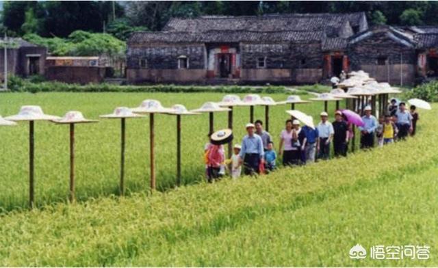 旅游网络推广:怎样把村里的旅游业推广出去？  第2张