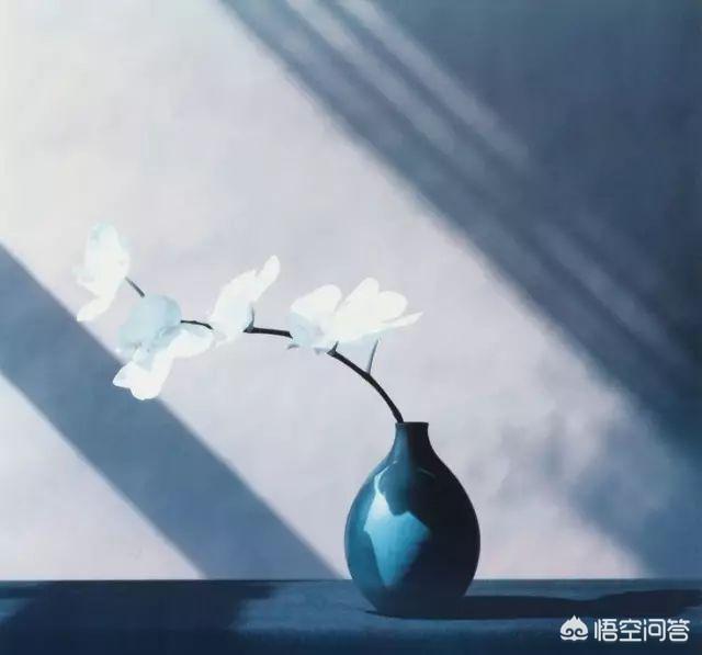 静态拍摄:什么是静物摄影？静物摄影的特点有哪些？  第6张