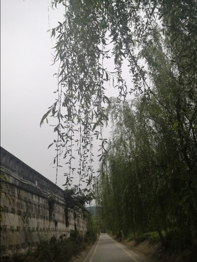 躺平是什么意思:“躺平”到底是什么意思，这样做影响了谁的利益，又是怎么火起来？  第3张