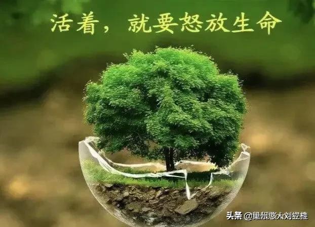赞赏是什么意思:怎么给别人赞赏好？  第1张