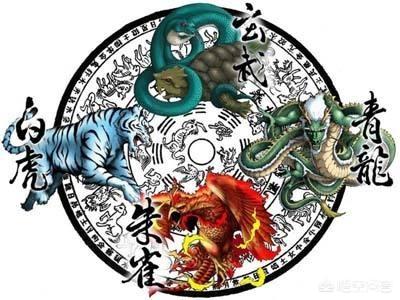 星图是什么意思:“星图”为何常常出现在古墓中，它有什么意义？  第9张