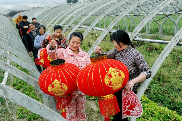 蔬菜销售:农民种的大棚蔬菜到哪里去卖？  第3张