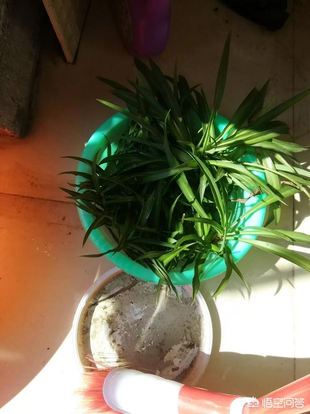 淘宝网开店货源:想在淘宝上开店，不知道卖什么没有货源怎么办？  第1张