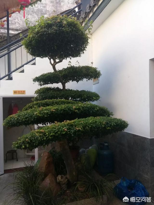 淘宝网开店货源:想在淘宝上开店，不知道卖什么没有货源怎么办？  第2张