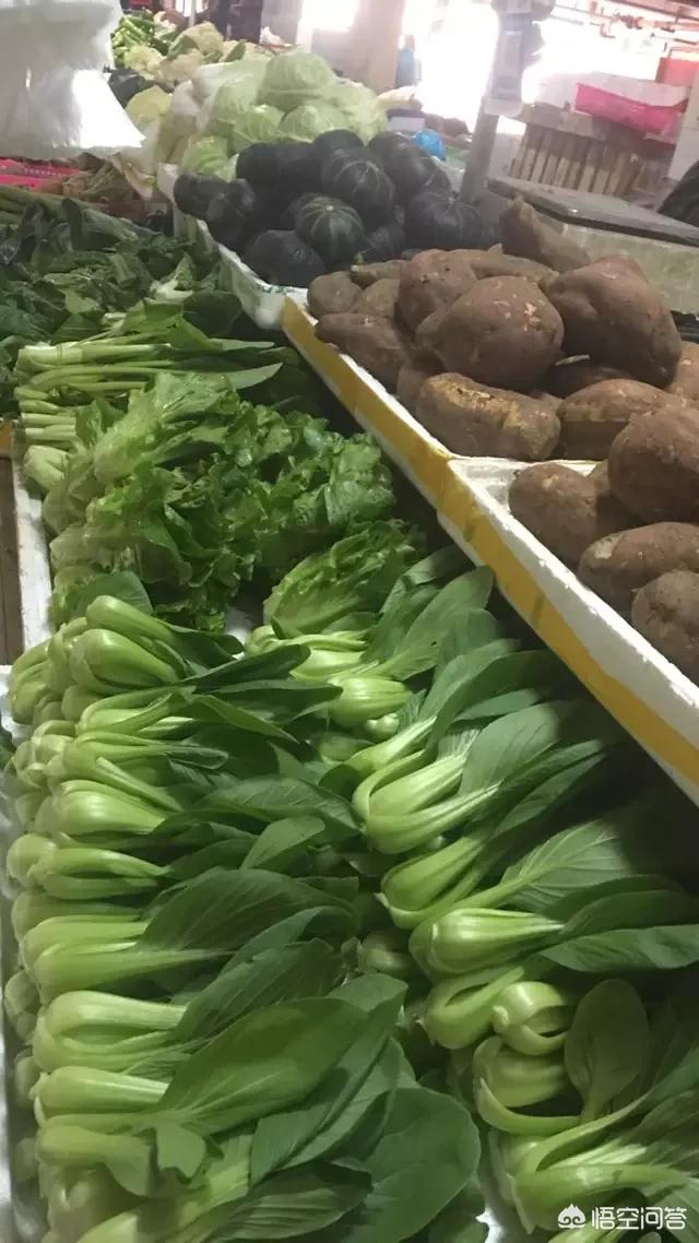 寿光蔬菜网:2018年秋季蔬菜价格居高不下，是否与寿光蔬菜基地被淹有牵连？  第4张