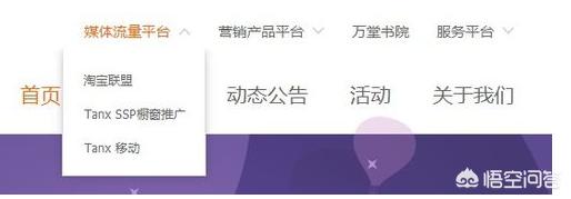 阿里妈妈淘宝客:淘宝联盟id怎么查？  第1张