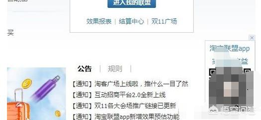 阿里妈妈淘宝客:淘宝联盟id怎么查？  第2张
