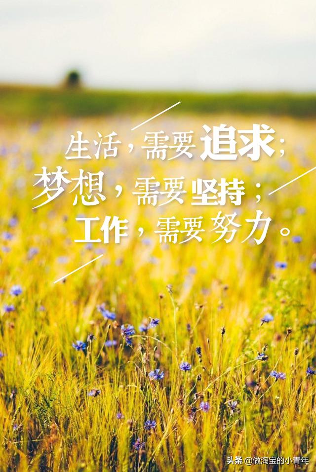 淘宝店铺统计:淘宝店铺上架多少个宝贝为佳？如何布局爆款群？  第1张