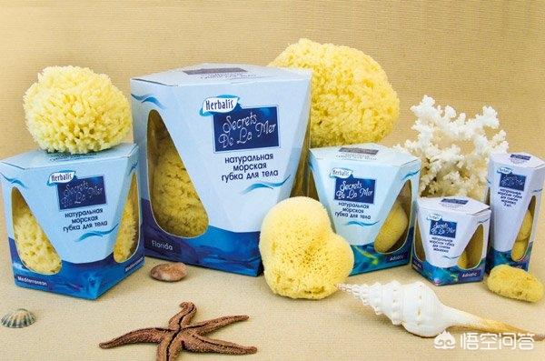 包装袋设计:包装袋的造型结构怎么设计？  第1张