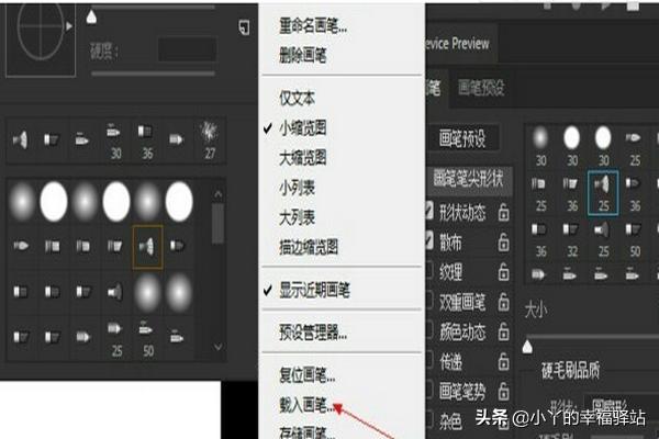 ps笔刷怎么安装:Photoshop2020版本如何安装笔刷abr文件？  第3张