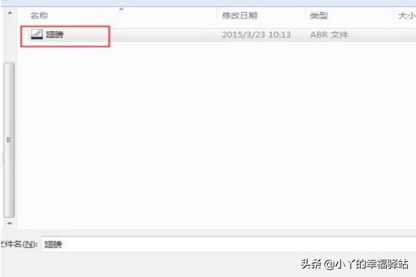 ps笔刷怎么安装:Photoshop2020版本如何安装笔刷abr文件？  第4张