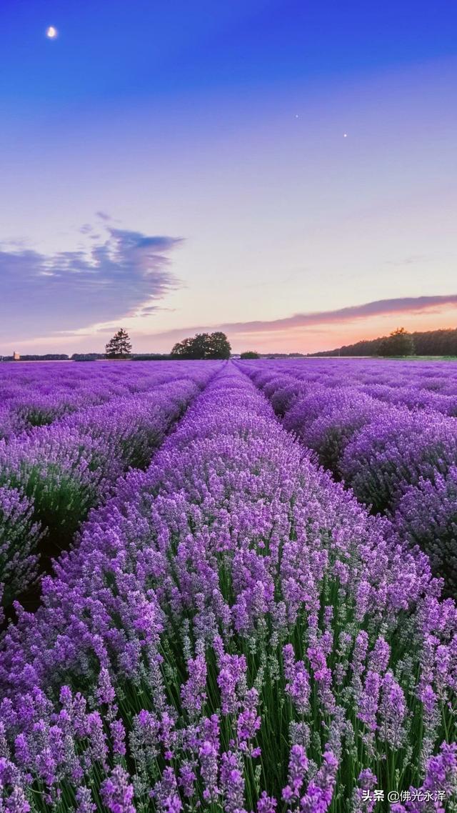 电子商务的特点:跨境电子商务有何特点？  第1张