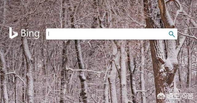必应搜索引擎:Bing和Google哪个更好用？  第1张
