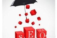 百度seo:百度搜索引擎逐渐没落，现在SEO的出路在哪里？  第1张