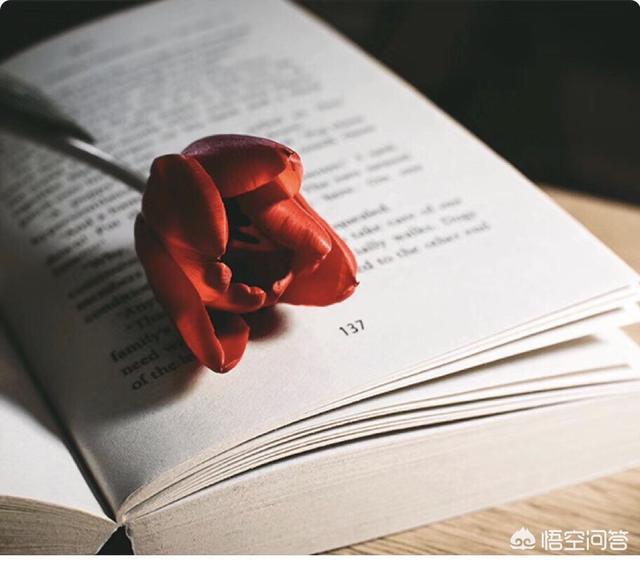 微信公众号管理:怎么管理好微信公众号？  第1张