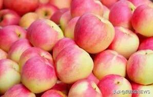 青岛微信营销
:怎样在社群分享水果? 第2张 青岛微信营销
:怎样在社群分享水果? 第2张