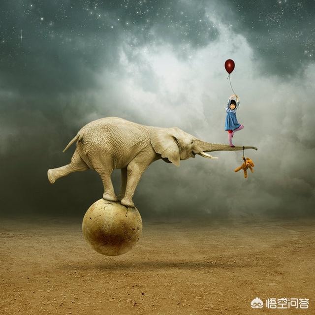 平面设计学习:平面设计入门，该如何学习？  第1张