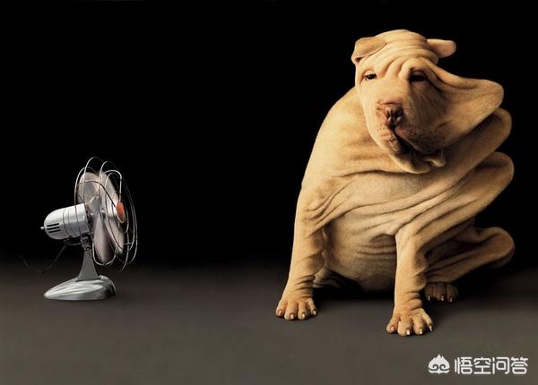 平面设计学习:平面设计入门，该如何学习？  第2张