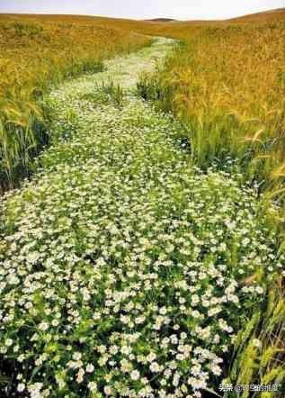 微信培训:一起培训的人要不要加微信？  第2张