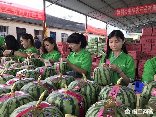 如何找批发商
:怎样可以精准的找到水果批发商? 第3张 如何找批发商
:怎样可以精准的找到水果批发商? 第3张