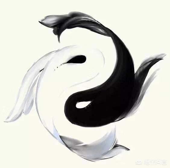 做好网络销售:什么产品比较适合做网络销售？  第2张